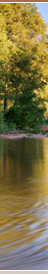 Gentle waters of Sedona's Oak Creek along the hiking trail