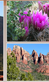 Red rock vistas, canyons and amazing trails