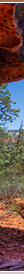 Hiking trails among Sedona's red rocks